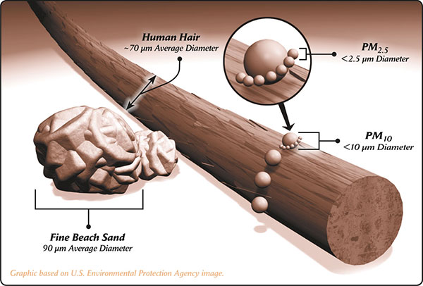 What Are Three Sources Of Particulate Matter