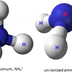 ammonia nitrogen